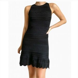 Torn by Ronny Kobo Black Textured Mini Dress